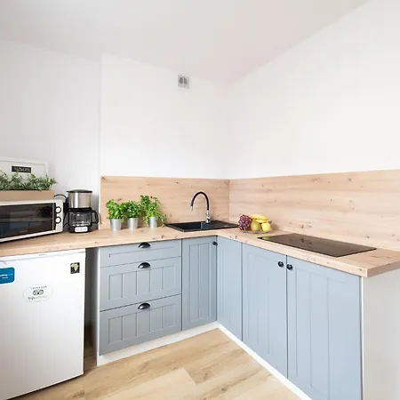 Motlawa River 아파트 그단스크